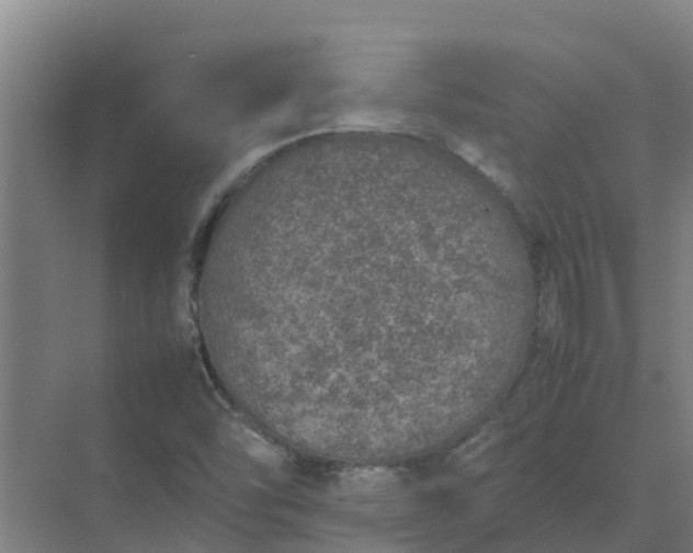 X0000074971454200609152110