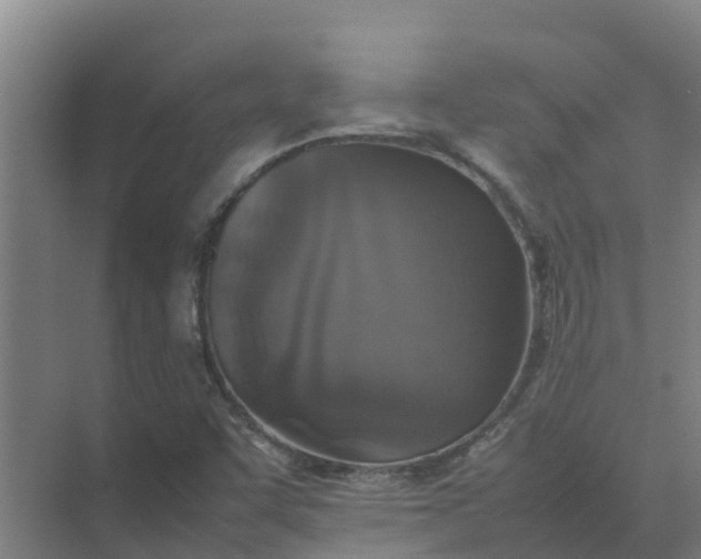 X0000074971455200609152110