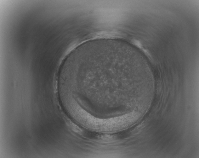 X0000074971459200609152110