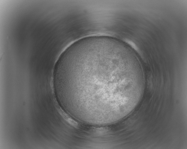 X0000074971460200609152110