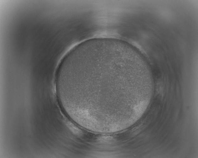 X0000074971462200609152110