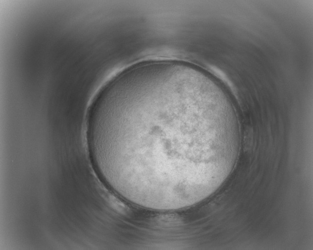 X0000074971464200609152110