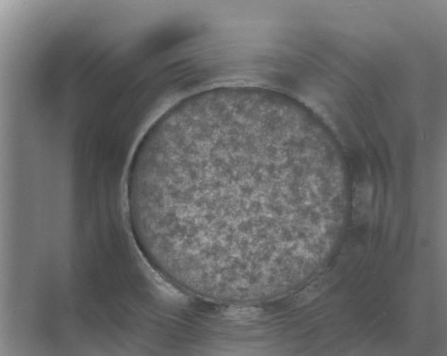 X0000074971466200609152110