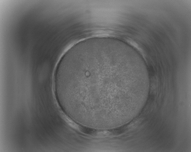 X0000074971467200609152110