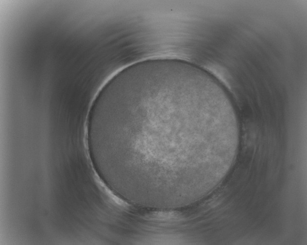 X0000074971468200609152110