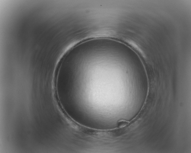 X0000074971469200609152110