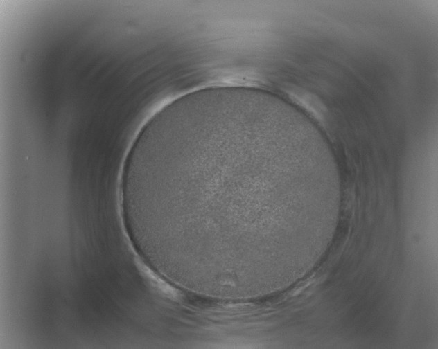 X0000074971471200609152110