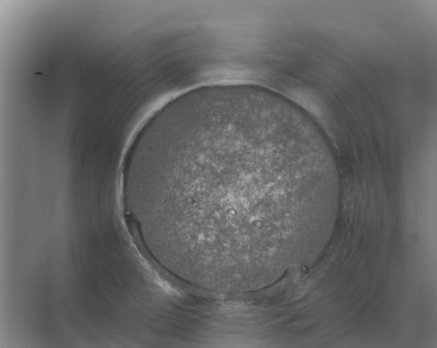 X0000074971472200609152110