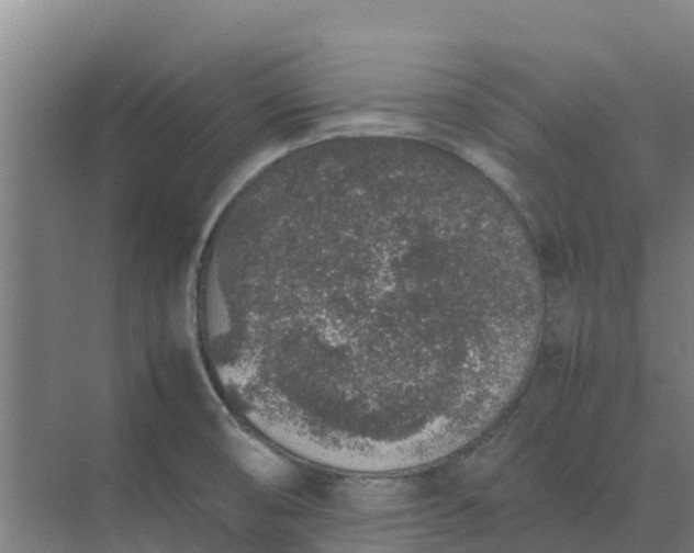 X0000074971474200609152109