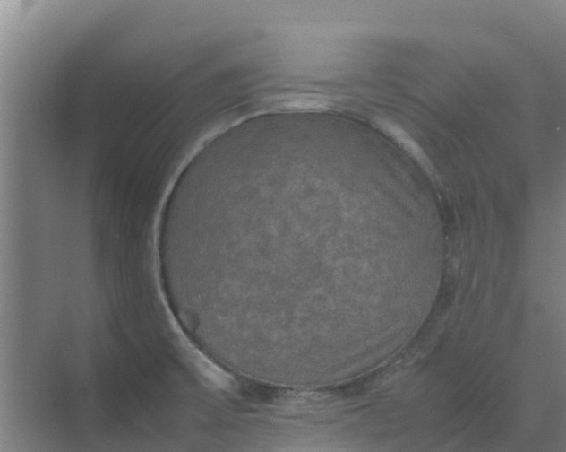 X0000074971475200609152109