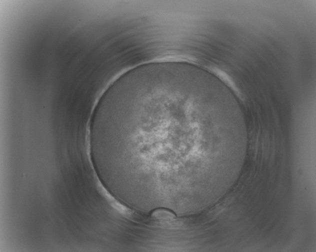 X0000074971476200609152109