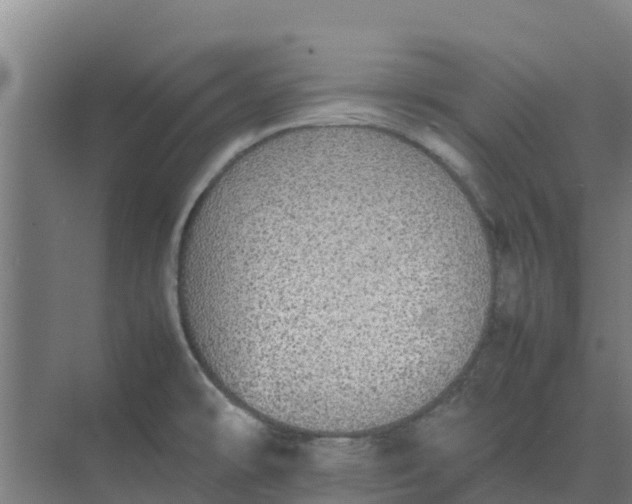 X0000074971478200609152109