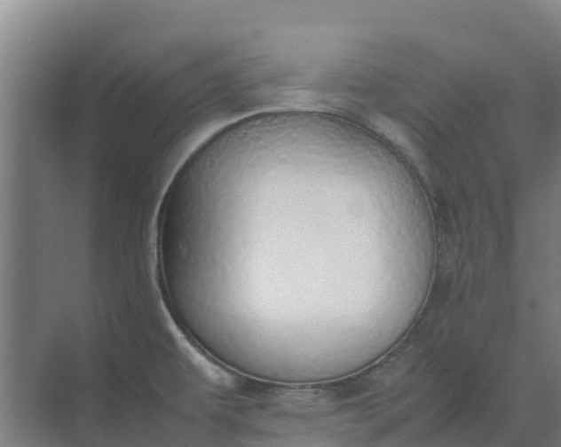 X0000074971479200609152109