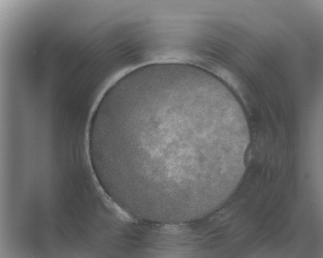 X0000074971480200609152109