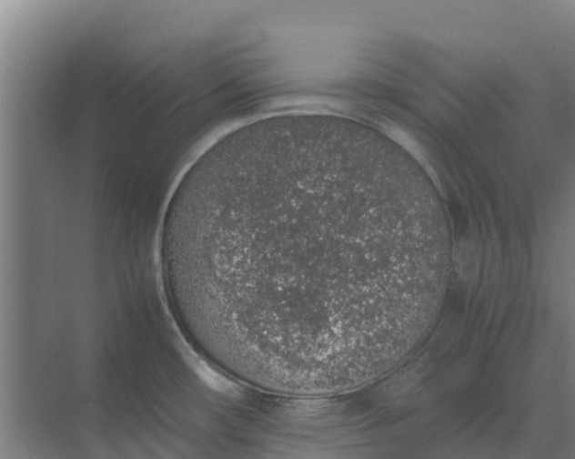 X0000074971482200609152109