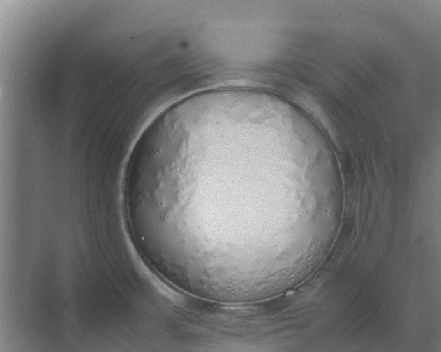 X0000074971483200609152109