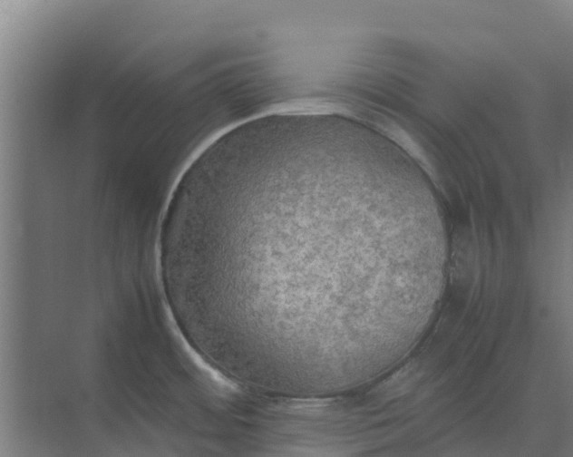 X0000074971484200609152109