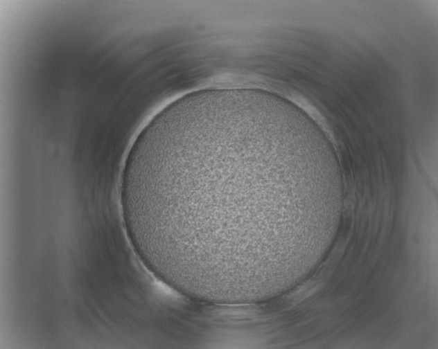 X0000074971486200609152109