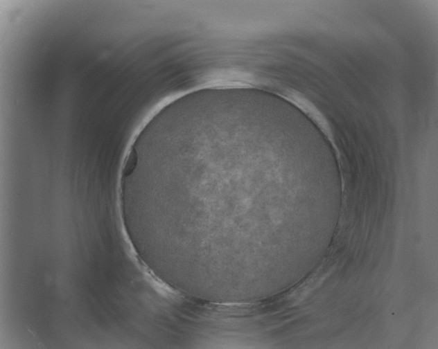 X0000074971488200609152109