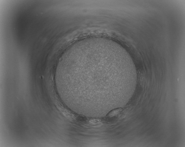 X0000074971489200609152108