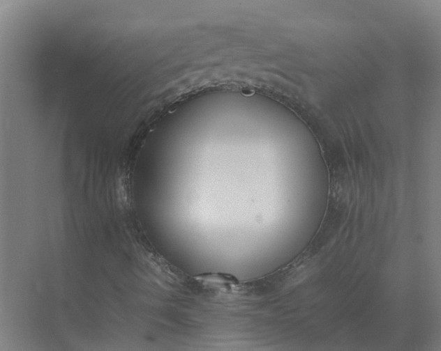 X0000074971490200609152108