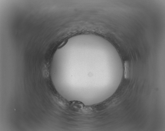 X0000074971491200609152108