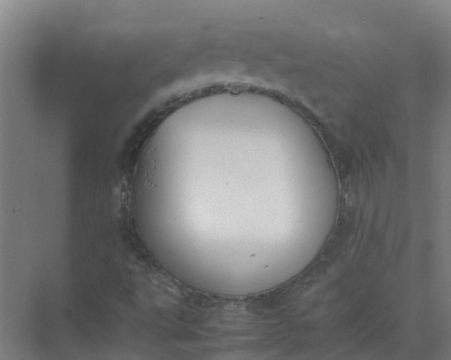 X0000074971495200609152109