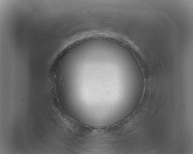 X0000074971496200609152109