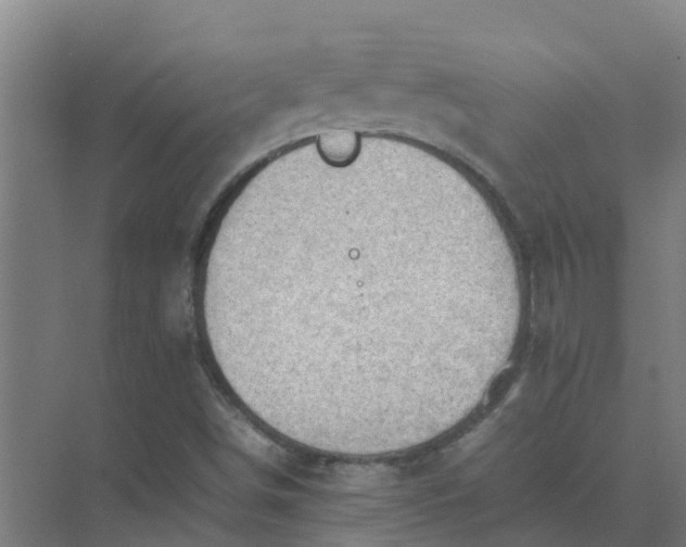 X0000074971498200609152109