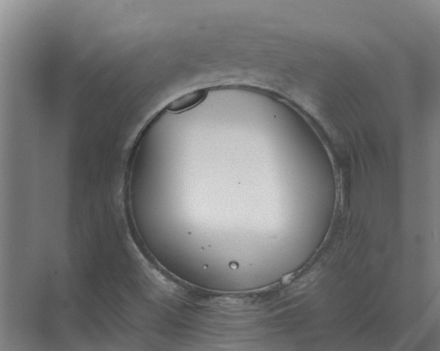 X0000074971500200609152109