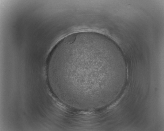 X0000074971501200609152109