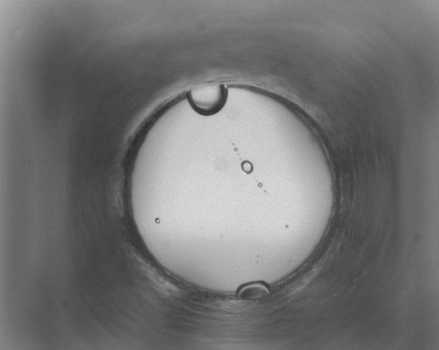 X0000074971502200609152109