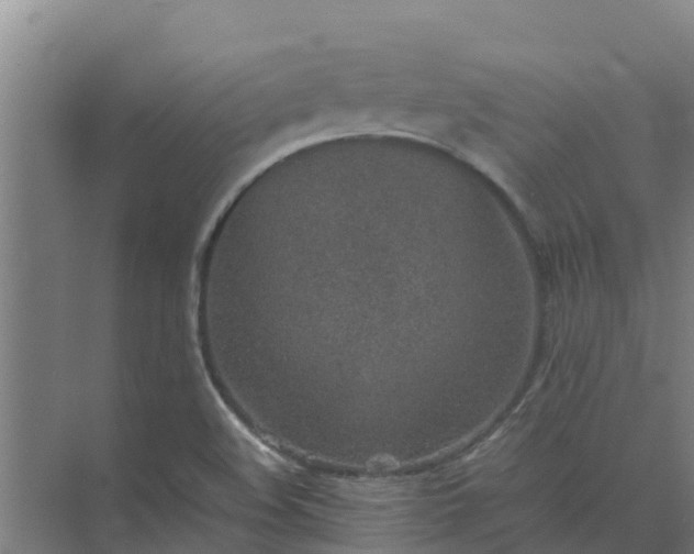 X0000074971508200609152109