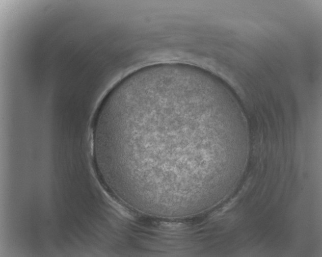 X0000074971509200609152109