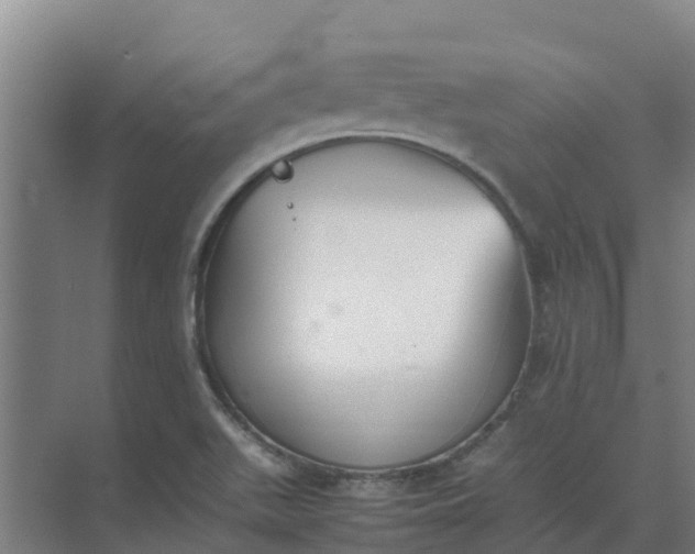 X0000074971511200609152109