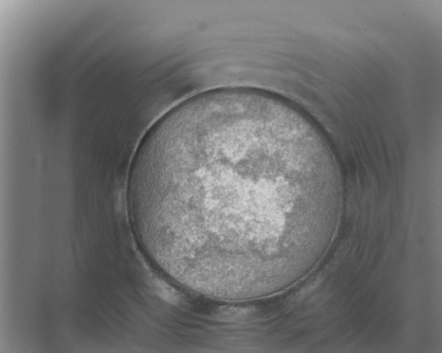 X0000074971513200609152109