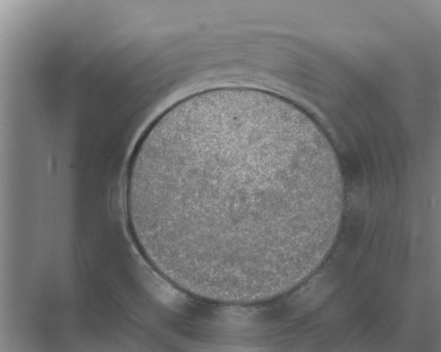 X0000074971514200609152109