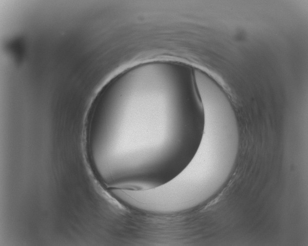 X0000074971518200609152109