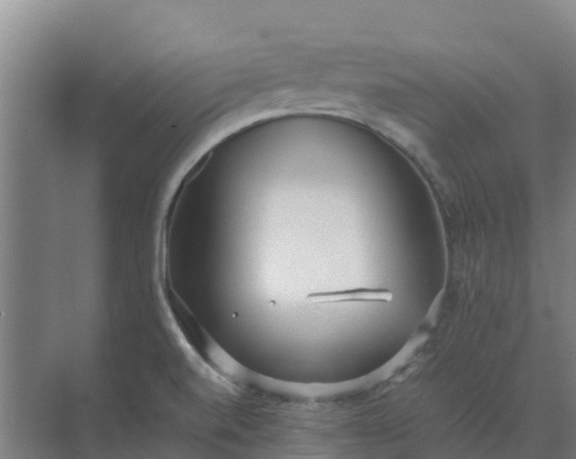 X0000074971520200609152109