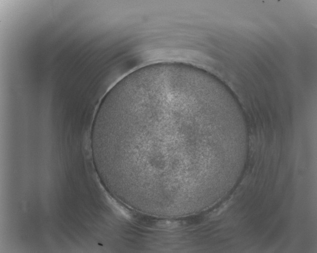 X0000074971521200609152109