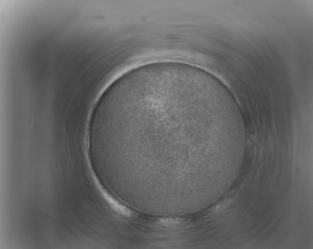 X0000074971523200609152109