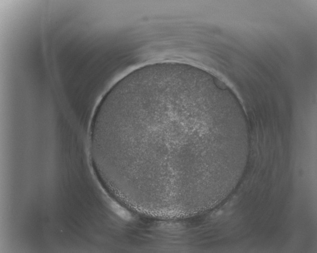 X0000074971525200609152109