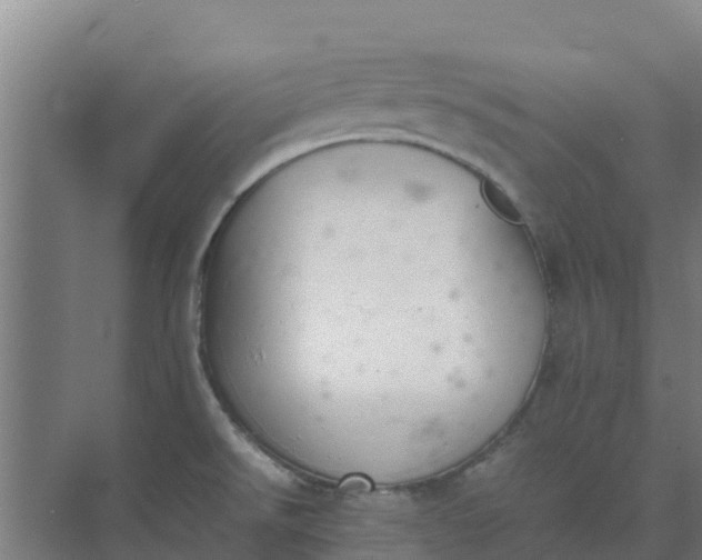 X0000074971526200609152109