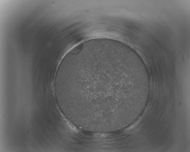 X0000074971529200609152109