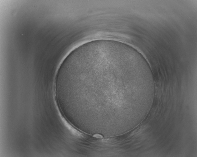 X0000074971531200609152109