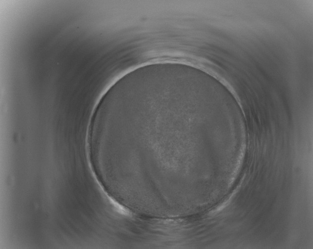 X0000074971533200609152109