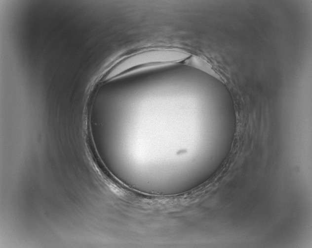 X0000074970005200609221835