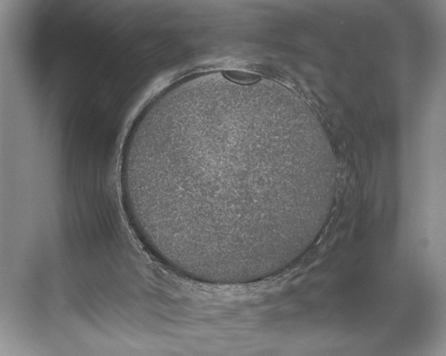 X0000074970006200609221835