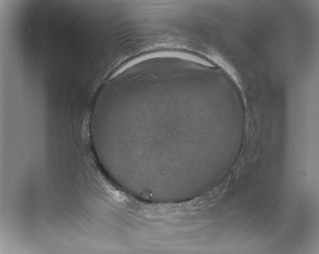 X0000074970009200609221835