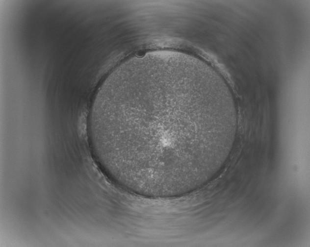 X0000074970010200609221835